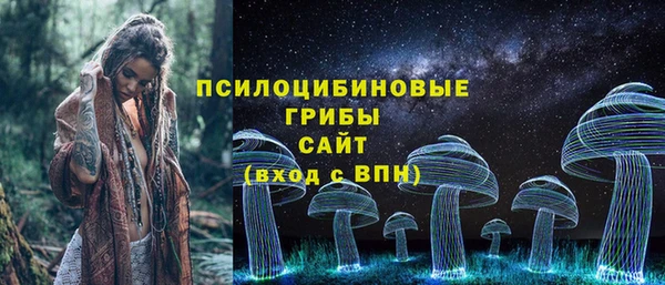 крисы Абаза