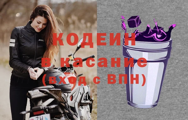крисы Абаза