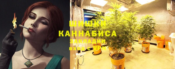 крисы Абаза