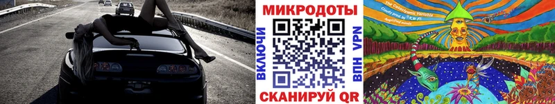 Галлюциногенные грибы Psilocybe  купить   Тула 